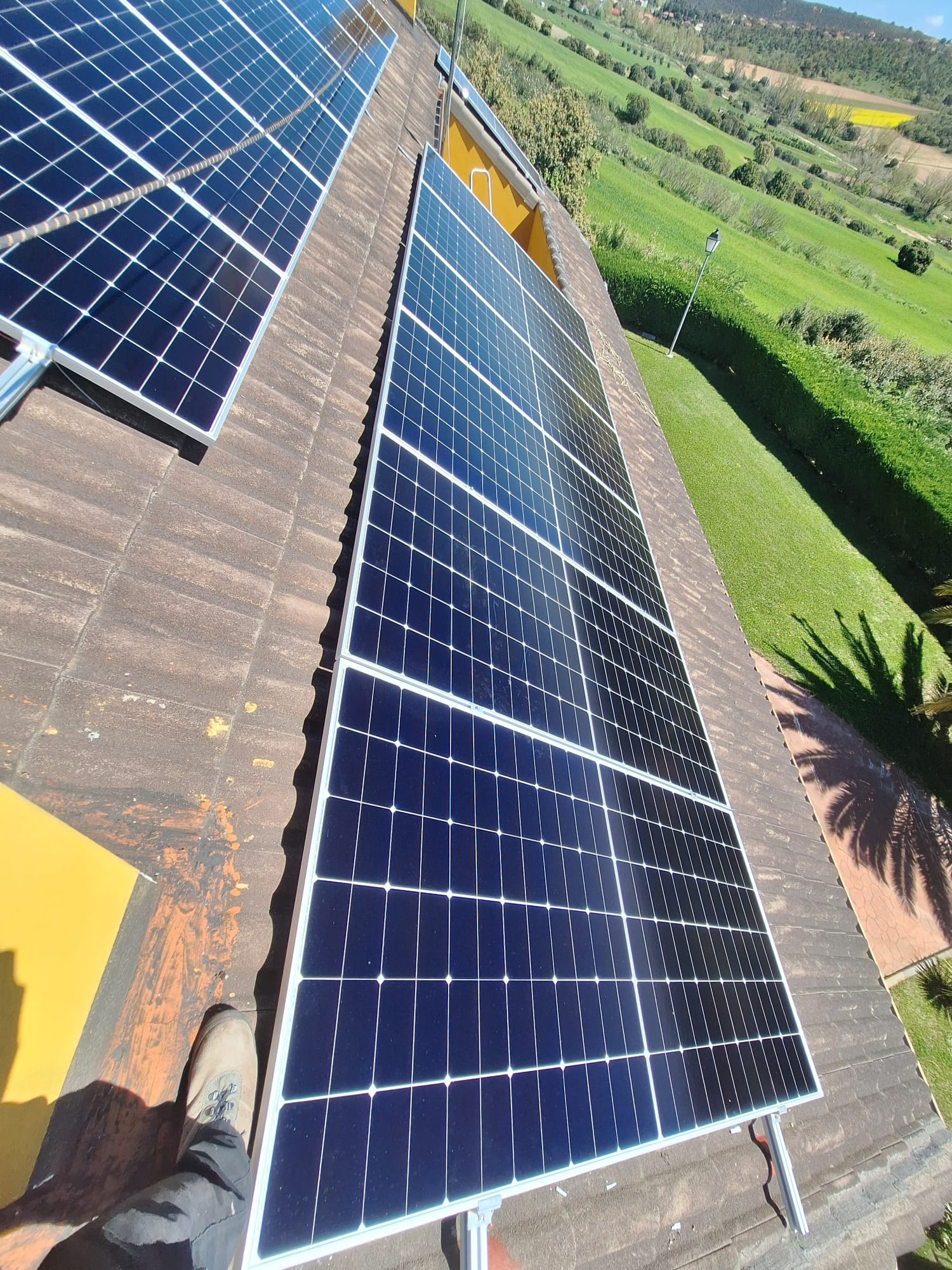 Imagen de WhatsApp 2024-04-09 a las 17.56.57_7725e3e3