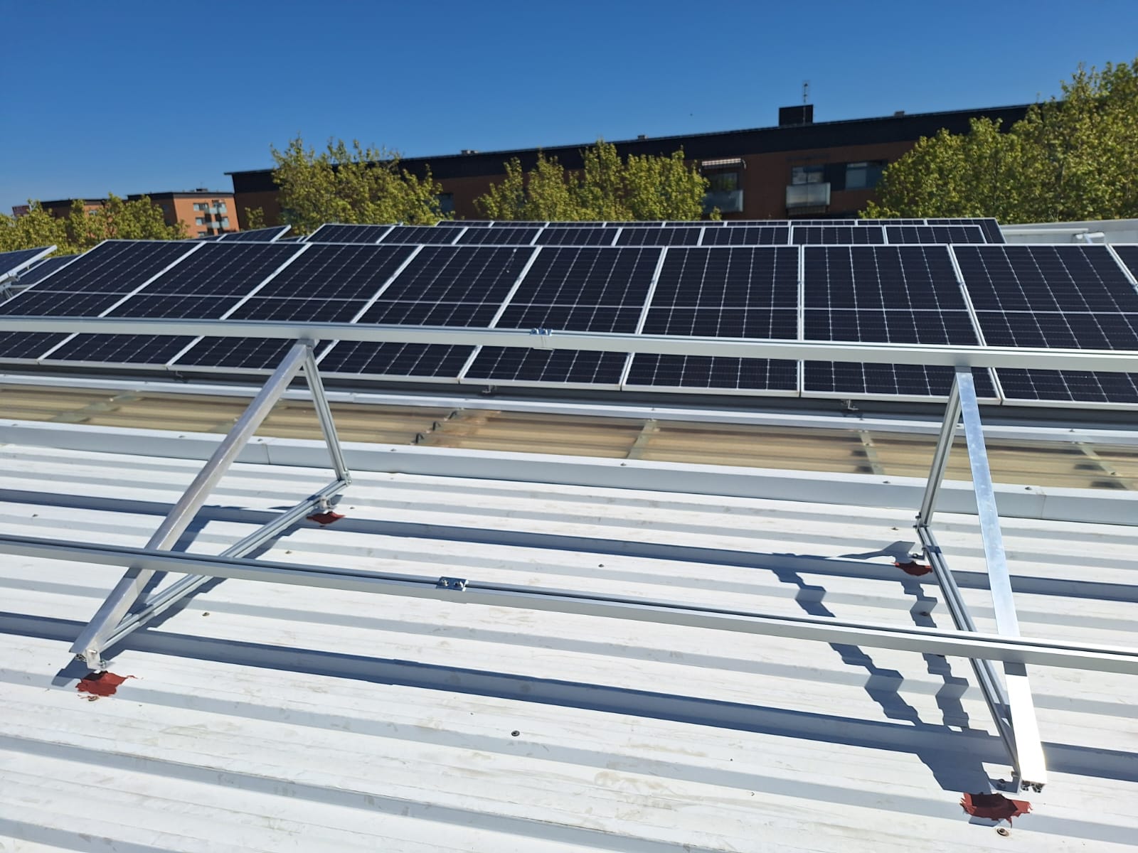 Imagen de WhatsApp 2024-04-11 a las 15.49.30_835981b8