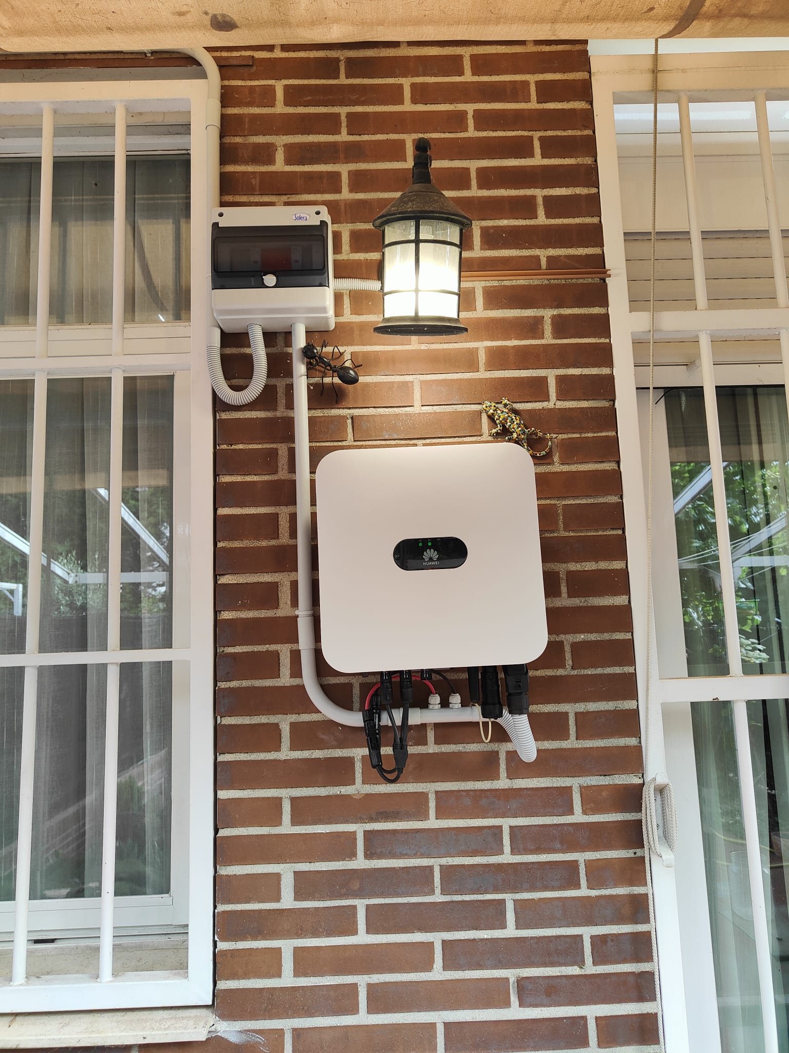 Imagen de WhatsApp 2024-06-07 a las 10.08.00_4f0a3003